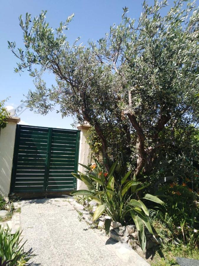 הוילה אפאנטו Arhontiko Kastelorizia מראה חיצוני תמונה